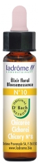 Ladrôme Flores De Bach Elixir Floral N° 10: Achicoria Bio 10 ml