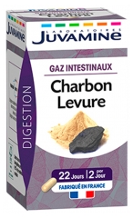 Juvamine Charbon Levure 45 Gélules