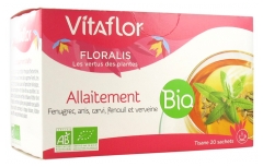 WELEDA - Tisane Allaitement - Favorise l'Allaitement Maternel - Bio - 20  Sachets de 2 g (Lot de 2)