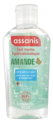 Assanis Gel Mains Hydroalcoolique 80 ml