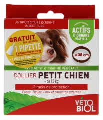 Collier Petit Chien 1 Collier