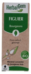 HerbalGem Fig Tree Organic 30 ml