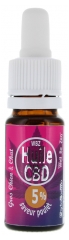 Phytocosmo Olio di CBD 5% Sapore di Pollo Cani e Gatti Grandi Adulti 10 ml