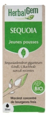HerbalGem Sequoia Organic 30 ml