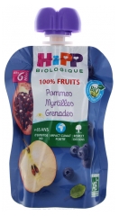 HiPP 100% Fruits Gourde Pommes Myrtilles Grenades dès 6 Mois Bio 90 g