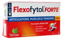 Flexofytol Forte 28 Comprimés