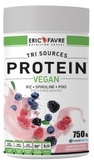 Eric Favre Vegan Proteins 750g - Taste: Vanilla