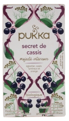 Pukka Blackcurrant Secret Organic 20 Sachets