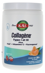 Collagène MarinType I et III 298 g