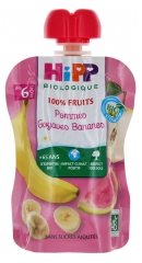HiPP 100% Fruits Gourde Pommes Goyaves Bananes dès 6 Mois Bio 90 g