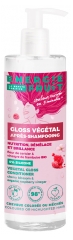 Gloss Végétal Après-Shampoing Couleur 300 ml