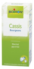 Cassis Bourgeons 60 ml
