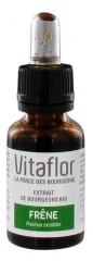 Vitaflor Estratto di Gemme di Frassino Organico 15 ml