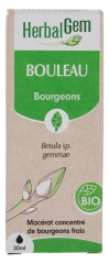 HerbalGem Bouleau Bio 30 ml