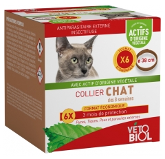 Antiparasitaire externe chats