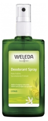 Weleda Citruso pur&scaron;kiamasis dezodorantas 100 ml