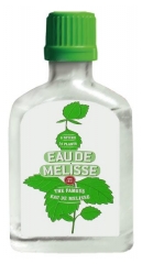 Eau de Mélisse des Carmes Boyer 40 ml