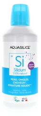 Aquasilice Silizium Organischen Ursprungs 1 L
