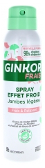 Ginkor Frais Aukstuma Efekta Aerosols Vieglām Kāju 125 ml