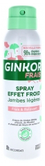 Ginkor Frais Spray Effet Froid Jambes Légères 125 ml