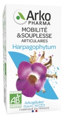 Arkopharma Arkogélules Harpagophytum Bio 45 Gélules