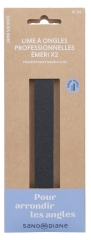 Sanodiane 2 Professionelle Emery Neglefile Stor Model