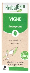 HerbalGem Vigne Bio 30 ml