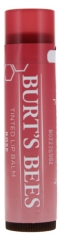 Burt\'s Bees Tinted Lip Balm 4.25 g