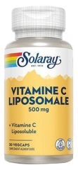 Solaray Liposominis Vitaminas C 500 mg 30 Daržovių Kapsulių