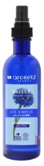 Argiletz Eau Florale au Bleuet (Centaurea cyanus) Bio 200 ml