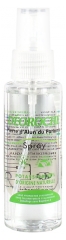 Bioxydiet Deoroche Alum Spray 75 ml