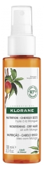 Klorane Mityba - Sausiems Plaukams Mango Aliejus 100 ml