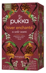 Pukka Encantado de Inverno Bio 20 saquetas
