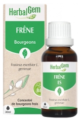 HerbalGem Cenere Organica 30 ml