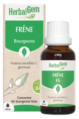HerbalGem Jesen Bio 30 ml