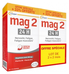 Mag 2 24H Formule Renforcée Lot de 2 x 60 Comprimés