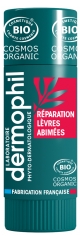 Dermophil Indien Repair Beschadigde Lippen Organic Stick 4 g