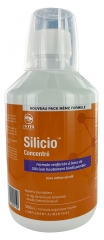 Phytoresearch Silicio Concentraat 500 ml