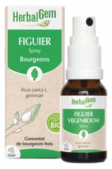 HerbalGem Figen Spray &Oslash;kologisk 15 ml