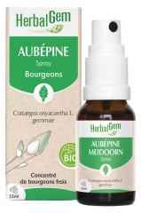 HerbalGem Aubépine Spray Bio 15 ml