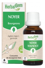 HerbalGem Noyer Bio 30 ml