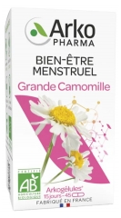 Arkopharma Arkogélules Grande Camomille Bio 45 Gélules