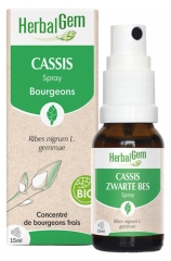 HerbalGem Zwarte Bes Spray Organic 15 ml