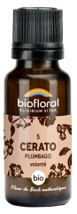 Biofloral Granuler 5 Cerato - Plumbago Bio 19,5 g