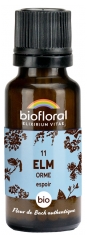 Biofloral Granuler 11 Elm - Ekologisk Alm 19,5 g