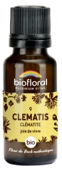 Biofloral Granulat 9 Clematis - Waldrebe Bio 19,5 g