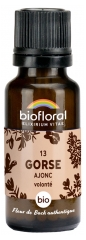 Biofloral Granuler 13 Gorse - &Oslash;kologisk Gyvel 19,5 g