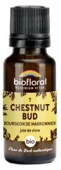 Biofloral Granulat 7 Chestnut Bud - Rosskastanienknospe Bio 19,5 g