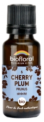 Biofloral Granuler 6 Cherry Plum - Prunus Bio 19,5 g