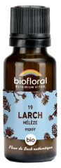 Biofloral Granules 19 Larch - Mélèze Bio 19,5 g